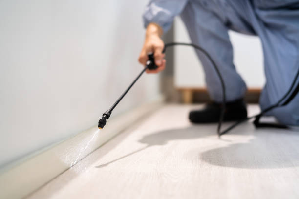 Licensed Pest Control service in Livingston, LA - Show Me Pest Control