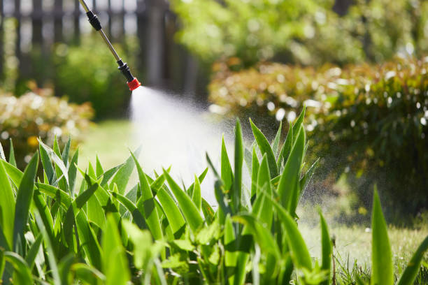 24/7 Emergency Mosquito Control experts in Livingston, LA
