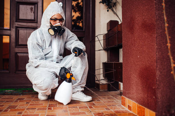 Reliable Mosquito Control contractor in Livingston, LA by Show Me Pest Control